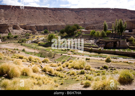 Caspana, montrant les domaines d'irrigation et de terrasses, Désert d'Atacama, Chili Banque D'Images