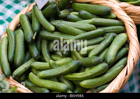 Les concombres bio dans panier en vente Liban Moyen Orient Banque D'Images