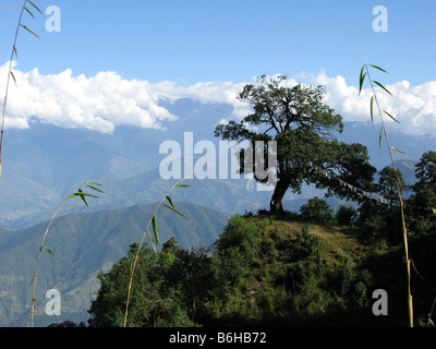 L'Himalaya vu depuis le dessus de Shivapuri, dédié à Shiva, le dieu hindou qui fait maintenant partie d'un parc national. Banque D'Images