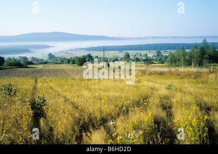 Pologne Psary Swieta Katarzyna matin brume brouillard paysage Banque D'Images