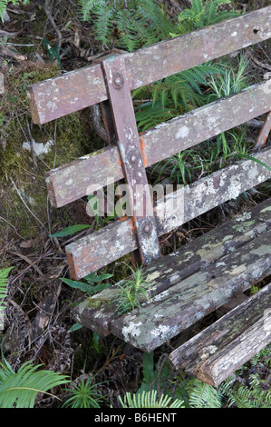 Vieux banc rustique dans les Montagnes Bleues Banque D'Images