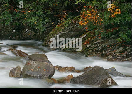 Scène de rivière d'automne sur la rive ouest de la rivière Little Prong dans Great Smoky Mountains National Park Banque D'Images