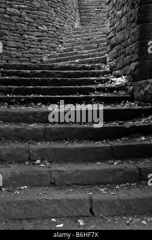 Escaliers dans les jardins chinois de Rivington. Banque D'Images