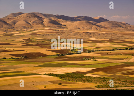 Le sud-est de la Turquie, paysage agricole dans la province de Batman, la haute Mésopotamie Banque D'Images