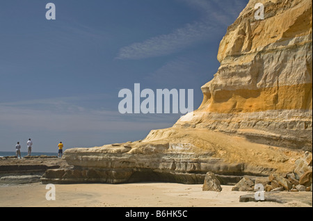 Californie - falaises de la côte du Pacifique à Flat Rock en Torrey Pines State Reserve. Banque D'Images