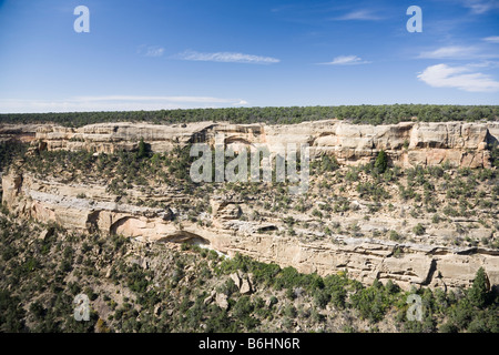 Falaise, canyon, le Parc National de Mesa Verde dans le Colorado, USA Banque D'Images