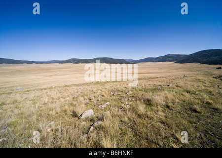 Valles Caldera National Preserve, près de Los Alamos au Nouveau Mexique, USA Banque D'Images