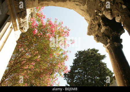 Cloître de l'église de St Trophime à Arles, France. Banque D'Images