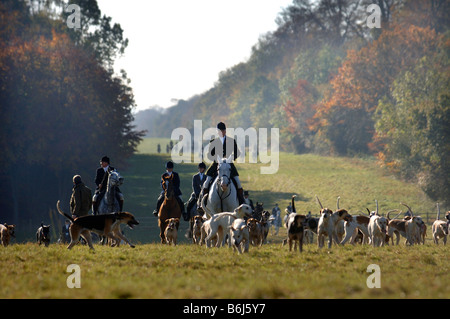 L'APPROCHE DE RECHERCHE DE BEAUFORT UNE RÉUNION À WORCESTER LODGE, PRÈS DE LEUR BADMINTON KENNELS GLOUCESTERSHIRE UK Banque D'Images