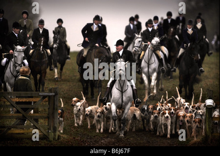 La CHASSE AU BEAUFORT UN LENDEMAIN DE RÉUNION À WORCESTER LODGE, PRÈS DE LEUR BADMINTON KENNELS GLOUCESTERSHIRE UK Banque D'Images