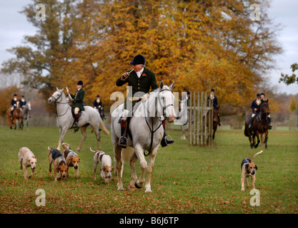 La CHASSE AU BEAUFORT DIRIGÉ PAR MASTER COMMUN LE CAPITAINE IAN FARQUHAR PRÈS DE LEUR BADMINTON KENNELS GLOUCESTERSHIRE UK Banque D'Images