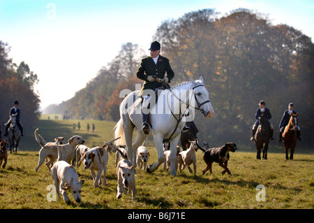 La CHASSE AU BEAUFORT DIRIGÉ PAR MASTER COMMUN LE CAPITAINE IAN FARQUHAR APPROCHE UNE RÉUNION À WORCESTER LODGE, PRÈS DE LEURS CHENILS BADMINTON GL Banque D'Images