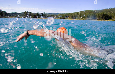 La natation dans le lac Foys Montana (MR) Banque D'Images