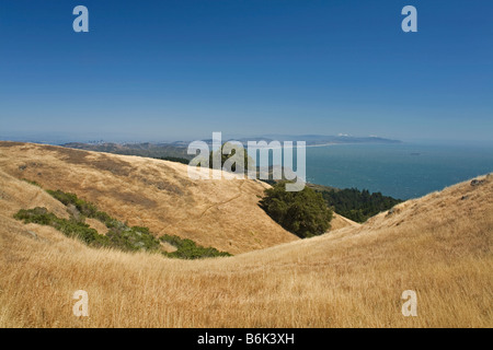 Californie - collines couvertes d'herbe et vue sur l'Océan Pacifique depuis le Mont Tamalpais State Park. Banque D'Images