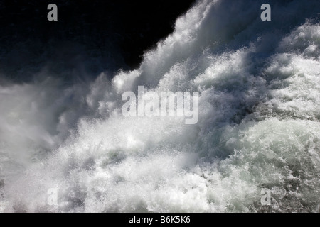 La région de Yellowstone Falls, rivière Yellowstone, le Parc National de Yellowstone, Wyoming, USA ; Banque D'Images