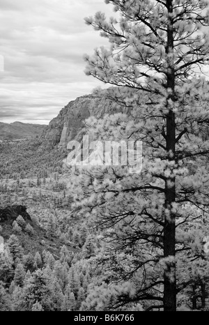 L'ange gardien sur la montagne Zion National Park Banque D'Images