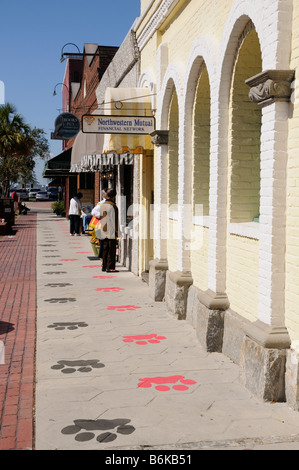 Paw marques formulaire un sentier le long du trottoir à Fernandina Beach resort Florida USA Banque D'Images