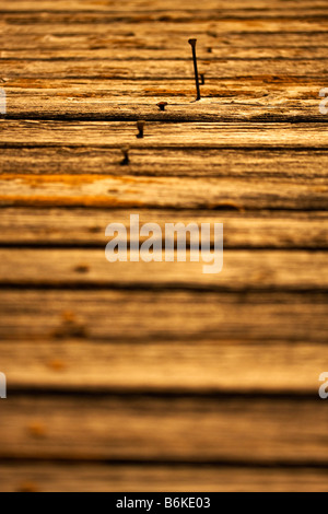 Clous rouillés dans une rangée de bois implantés dans l'un d'entre eux sortent selective focus Banque D'Images