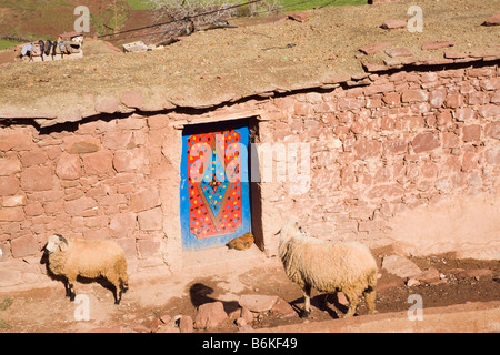 Sidi Faress Maroc maison berbère traditionnelle de décembre et les moutons à l'extérieur de porte Banque D'Images