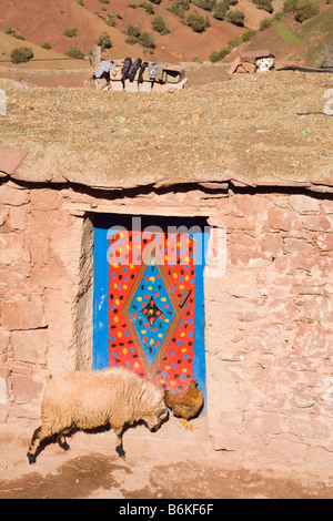 Sidi Faress Maroc maison berbère traditionnelle de décembre et les moutons à l'extérieur de porte Banque D'Images