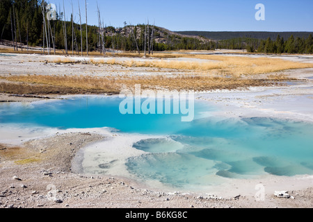 Ressorts de porcelaine, Norris Geyser Basin, Parc National de Yellowstone, Wyoming, USA ; Banque D'Images