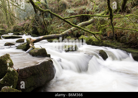 Plus de cascade de rochers dans une rivière de la forêt en hiver Banque D'Images