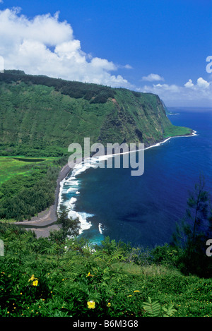 Vue depuis la vallée de Waipio Waipio Bay Lookout Hamakua North Kohala Coast Island of Hawaii Banque D'Images