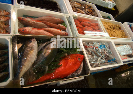 Marché aux poissons de Tsukiji shijo Tokyo Japon fruits de mer Banque D'Images