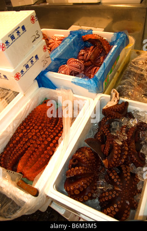 Octopus à shijo Tsukiji fish market in Tokyo Japon fruits de mer Banque D'Images