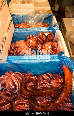 Octopus à shijo Tsukiji fish market in Tokyo Japon fruits de mer Banque D'Images