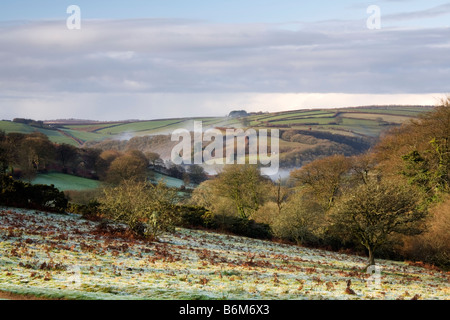 Matin d'hiver à travers la vallée de la rivière Barle sur Exmoor, Somerset Banque D'Images