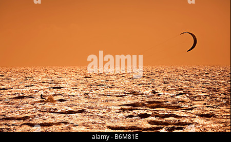 Le kitesurf sur la mer à Harlingen Pays-Bas Banque D'Images