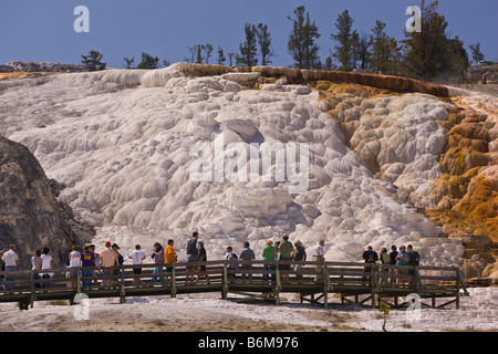 Le parc national de Yellowstone, Wyoming, USA - Les touristes en promenade de la zone du ressort de la palette, dans les terrasses de Mammoth Hot Springs Banque D'Images