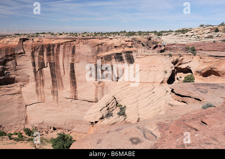 Aperçu de l'Antelope House Ruin montrant le point de vue donnent sur des touristes au canyon de Chelly National Monument Arizona Banque D'Images