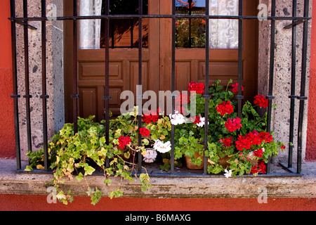 Pots de fleurs sur la fenêtre balcon à San Miguel de Allende Mexique Banque D'Images