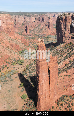 Un Rock Spider 800 grès pied spire en fin d'après-midi à Canyon de Chelly National Monument, Arizona Banque D'Images