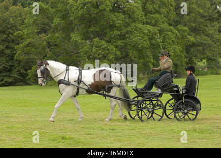 Un concurrent à un essai de conduite à cheval - Borde Hill, West Sussex. Banque D'Images