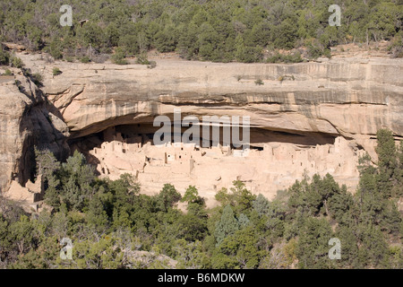 Cliff Palace, le Parc National de Mesa Verde dans le Colorado, USA Banque D'Images