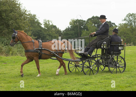 Un concurrent à un essai de conduite à cheval - Borde Hill, West Sussex. Banque D'Images