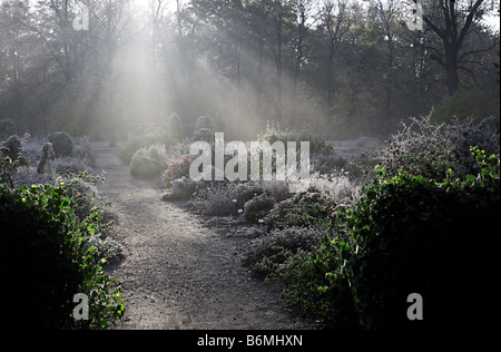 Premiers rayons du soleil levant dans un jardin couvert de givre par une froide matinée d'octobre Banque D'Images