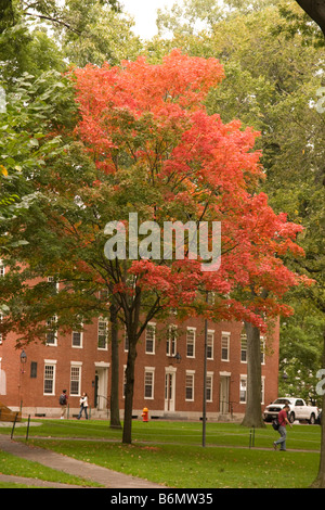 Feuillage d'automne dans la région de Harvard Yard Harvard University Cambridge MA Massachusetts New England USA United States of America Banque D'Images