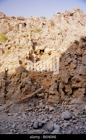 Chemin fait par un troupeau de chèvres pakistanais, qui est basé dans cette partie reculée de la montagne. Wadi Khab Al Shamsi, Oman, Musandam Banque D'Images