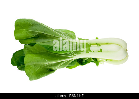 Fresh pak Choy isolé sur fond blanc Banque D'Images