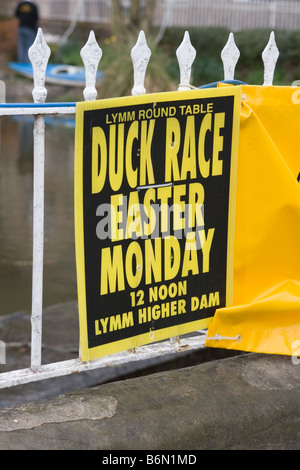 Inscrivez-vous pour la course de canards en Lymm, Cheshire Banque D'Images