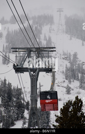 Voiture de tramway à un seul tour, Jackson Hole Aerial Tram jusqu'Rendezvous Mountain, Jackson Hole Mountain Resort, Jackson, Wyoming. Banque D'Images