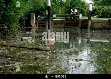 La pollution de la rivière : les bouteilles en plastique, bains à remous, sol en bois de sciage et le sentier flottant sur la rivière Wey avec surface d'écluses derrière, Surrey Banque D'Images