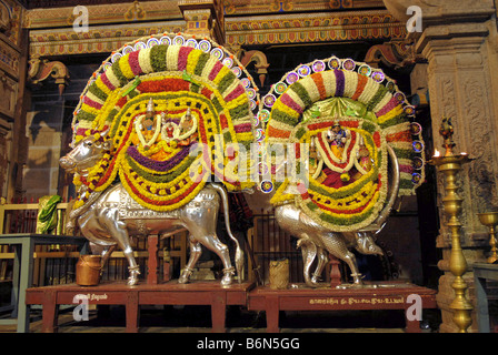 FESTIVAL EN KARPAKA PILLAIYARPATTI VINAYAKAR TEMPLE À TAMILNADU Banque D'Images