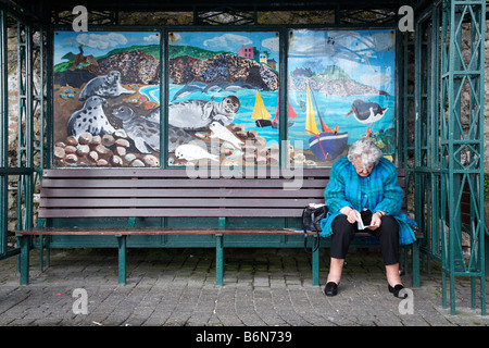 Vieille dame s'assit sur un banc de lecture à Tenby Banque D'Images