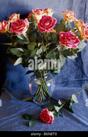 Bouquet de roses multicolores dans un vase still life Banque D'Images