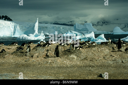 Manchots et de glace-scape à Cuverville Island, la péninsule Antarctique Banque D'Images